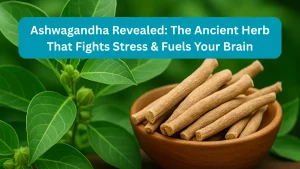 Ashwagandha Revealed: The Ancient Herb That Fights Stress & Fuels Your Brain Thumbnail image by NavyaEdu, Containing Ashwagandha plant, leaves, and sticks.