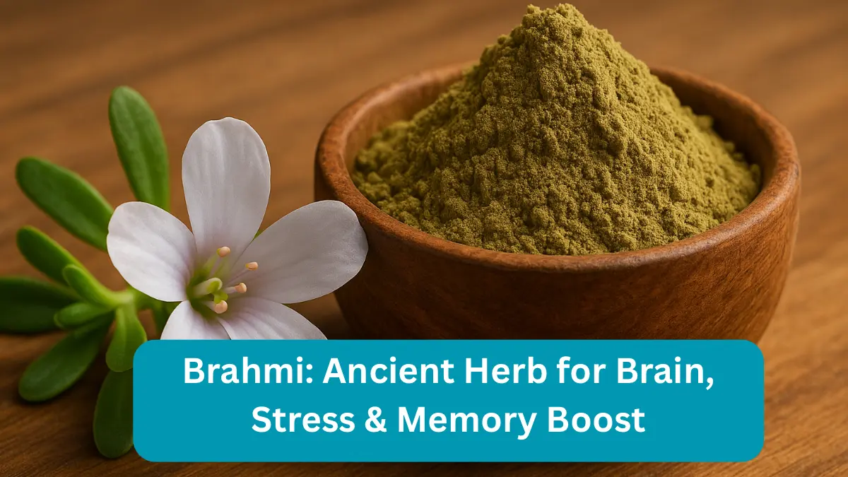 Brahmi Ancient Herb for Brain, Stress & Memory Boost Blog Post Thumbnail By NavyaEdu, Image Having Brahmi Plant, Flower, and Powder.
